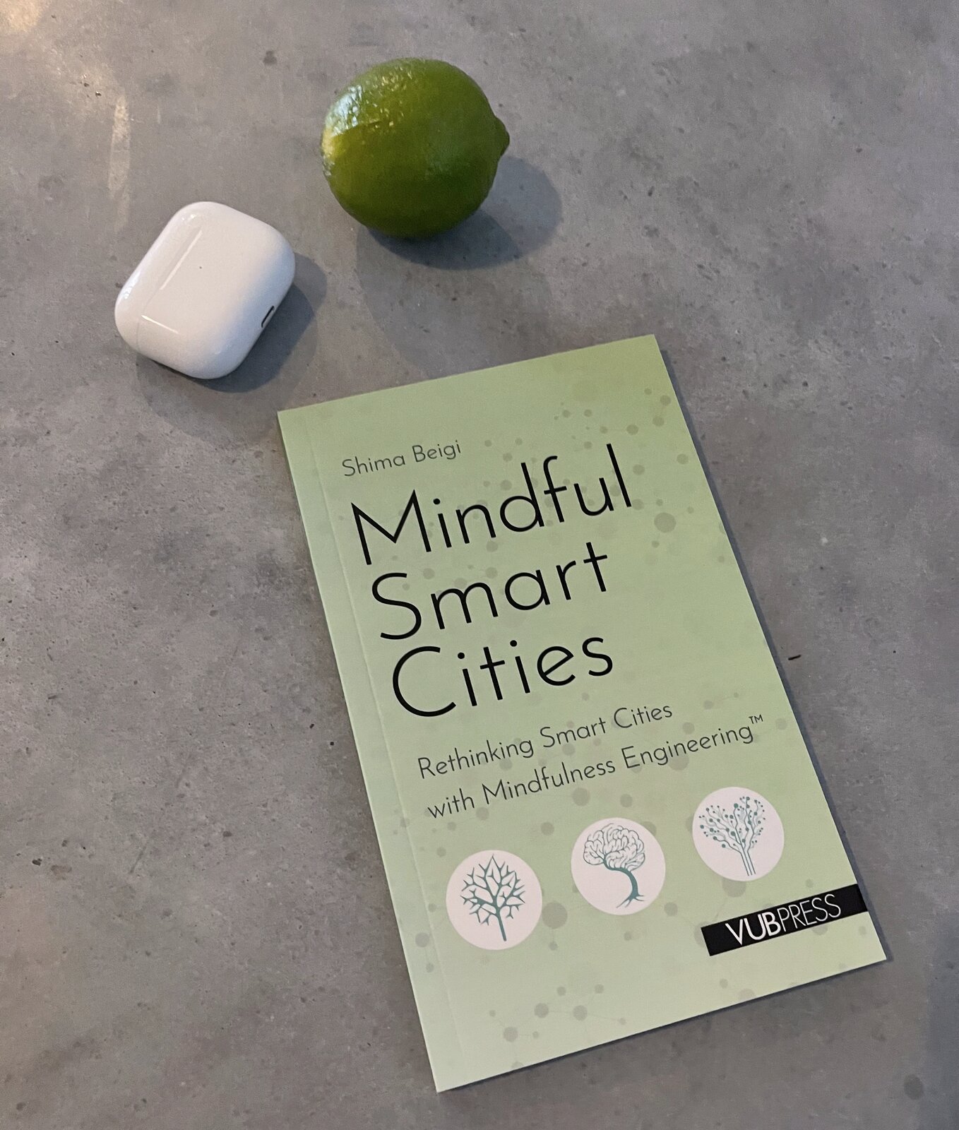 Mindful Smart Cities for Noosphere Master Class